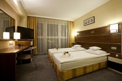 hotel *** - Hotel Tychy - zdjęcie 9