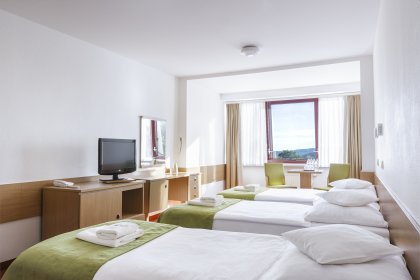 hotel **** - INTERFERIE Sport Hotel Bornit - zdjęcie 8