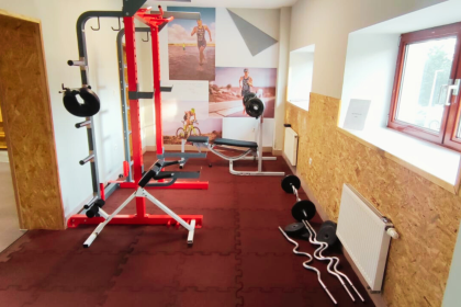 hotel **** - INTERFERIE Sport Hotel Bornit - zdjęcie 16