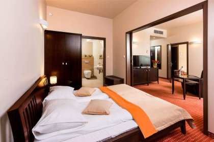 hotel **** - Hotel Tęczowy Młyn - zdjęcie 7