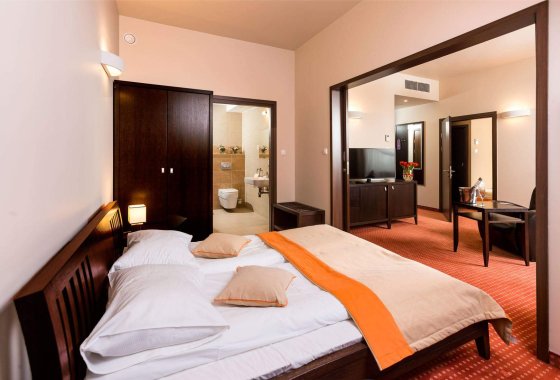 hotel **** - Hotel Tęczowy Młyn - Pokoje - zdjęcie 4