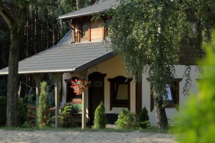 hotel *** - Hotel Niedźwiadek - zdjęcie 3