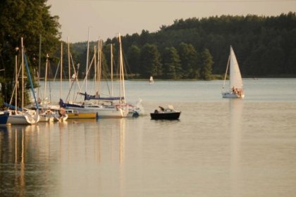 hotel *** - Hotel Niedźwiadek - zdjęcie 16