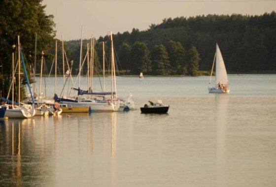 hotel *** - Hotel Niedźwiadek - Usługi - zdjęcie 2