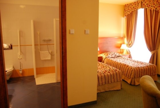 hotel **** - Hotel Młyn Włocławek - Pokoje - zdjęcie 1