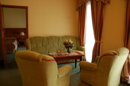 hotel **** - Hotel Młyn Włocławek - zdjęcie 8