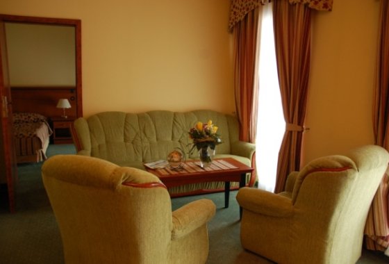 hotel **** - Hotel Młyn Włocławek - Pokoje - zdjęcie 3