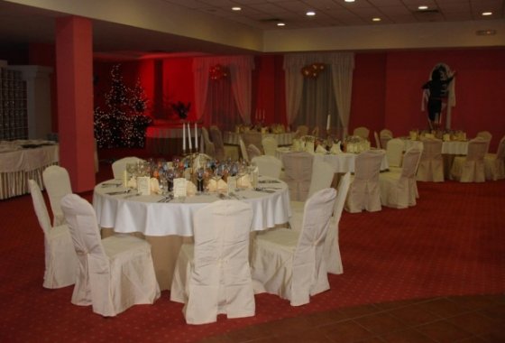 hotel **** - Hotel Młyn Włocławek - Usługi - zdjęcie 2