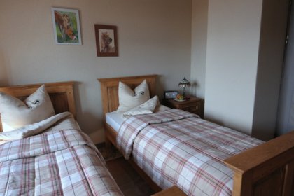 hotel - Szkockie Ranczo Wellness & Spa - zdjęcie 15