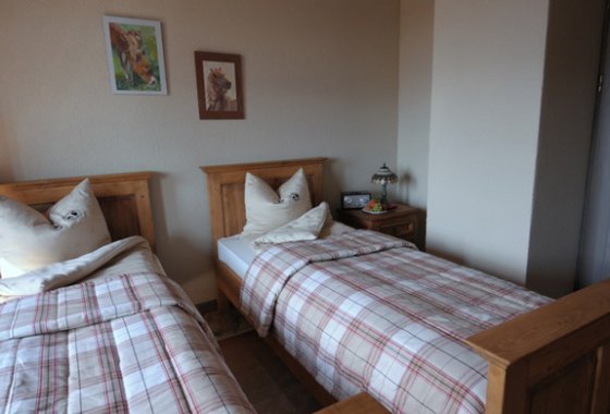 hotel - Szkockie Ranczo Wellness & Spa - Pokoje - zdjęcie 4