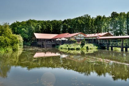 hotel *** - Stacja Nowa Gdynia Business & Wellness Resort - zdjęcie 2