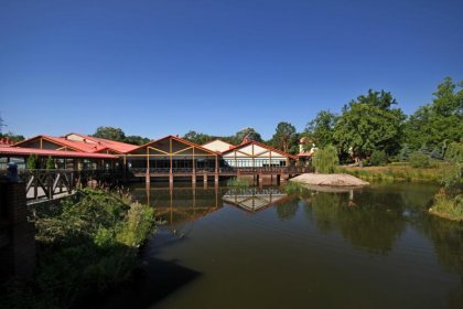 hotel *** - Stacja Nowa Gdynia Business & Wellness Resort - zdjęcie 17