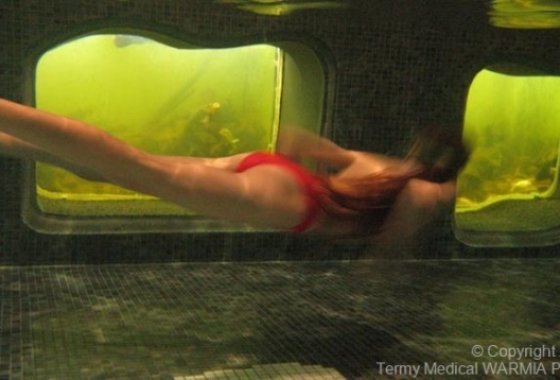 hotel **** - Termy Medical WARMIA PARK - Usługi - zdjęcie 4