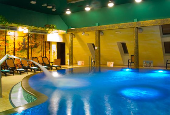 hotel **** - Jelenia Struga SPA RESORT Sp z o.o. - Usługi - zdjęcie 1