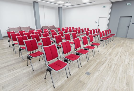 obiekt konferencyjny - Centrum Konferencyjne Polska 13 - Pokoje - zdjęcie 3