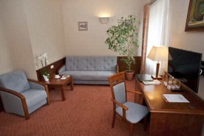 hotel *** - EuroHotel Swarzędz - zdjęcie 18