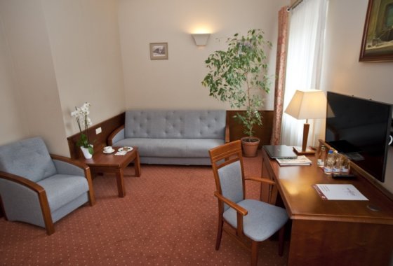 hotel *** - EuroHotel Swarzędz - Pokoje - zdjęcie 11