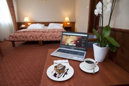hotel *** - EuroHotel Swarzędz - zdjęcie 11