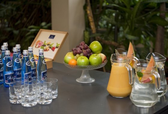hotel *** - EuroHotel Swarzędz - Usługi - zdjęcie 13