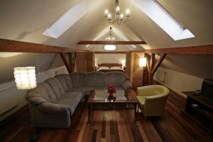 pałac - Hotel*** Pałac Sokolnik - zdjęcie 3