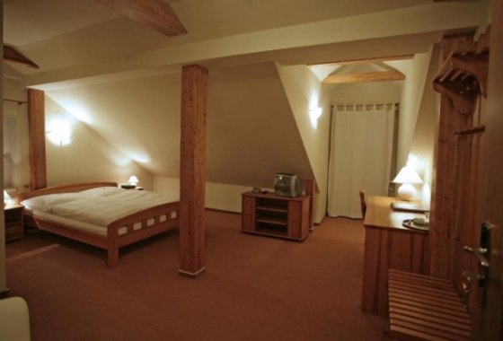 pałac - Hotel*** Pałac Sokolnik - Pokoje - zdjęcie 2