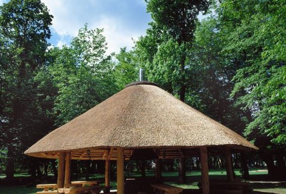 pałac - Hotel*** Pałac Sokolnik - Usługi - zdjęcie 2