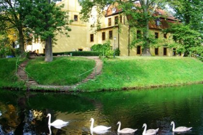 zamek - Zamek w Krokowej - zdjęcie 1