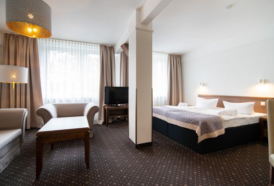 obiekt konferencyjny - Marena Wellness & Spa - Pokoje - zdjęcie 13