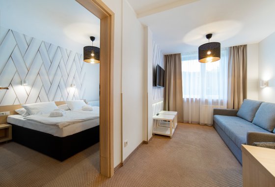 obiekt konferencyjny - Marena Wellness & Spa - Pokoje - zdjęcie 4