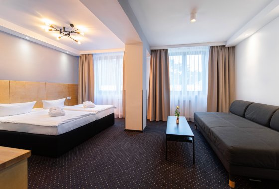 obiekt konferencyjny - Marena Wellness & Spa - Pokoje - zdjęcie 8