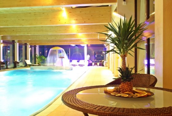 hotel *** - Hotel Fajkier Wellness & SPA - Usługi - zdjęcie 1