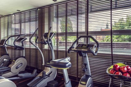 hotel **** - Hotel Mercure Gdańsk Stare Miasto - zdjęcie 22