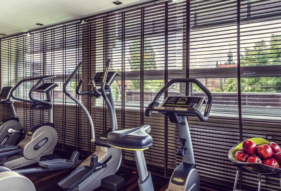 hotel **** - Hotel Mercure Gdańsk Stare Miasto - Usługi - zdjęcie 1