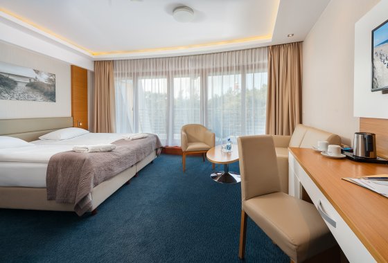 hotel **** - Hotel**** Dom Zdrojowy Resort & SPA - Pokoje - zdjęcie 1