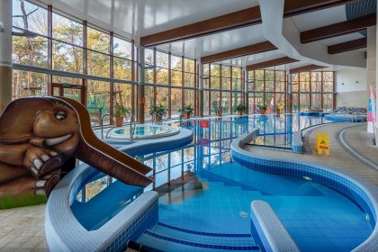 hotel **** - Hotel**** Dom Zdrojowy Resort & SPA - zdjęcie 7