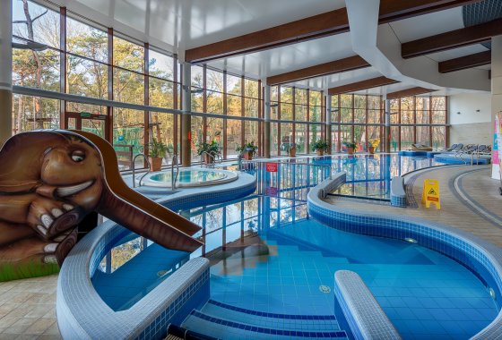 hotel **** - Hotel**** Dom Zdrojowy Resort & SPA - Usługi - zdjęcie 2