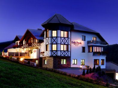 Hotel*** Dziki Potok Konferencje&SPA