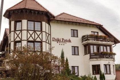 hotel *** - Hotel*** Dziki Potok Konferencje&SPA - zdjęcie 3