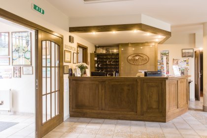 hotel *** - Hotel*** Dziki Potok Konferencje&SPA - zdjęcie 9