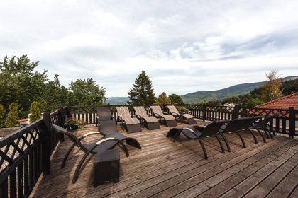 hotel *** - Hotel*** Dziki Potok Konferencje&SPA - zdjęcie 7