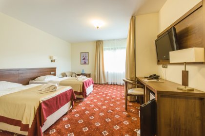 hotel *** - Hotel*** Dziki Potok Konferencje&SPA - zdjęcie 31