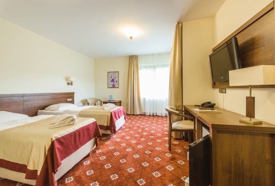 hotel *** - Hotel*** Dziki Potok Konferencje&SPA - Pokoje - zdjęcie 43