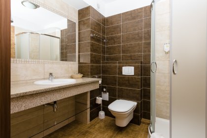 hotel *** - Hotel*** Dziki Potok Konferencje&SPA - zdjęcie 42