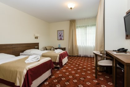 hotel *** - Hotel*** Dziki Potok Konferencje&SPA - zdjęcie 41
