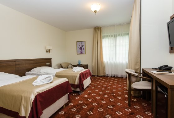 hotel *** - Hotel*** Dziki Potok Konferencje&SPA - Pokoje - zdjęcie 30