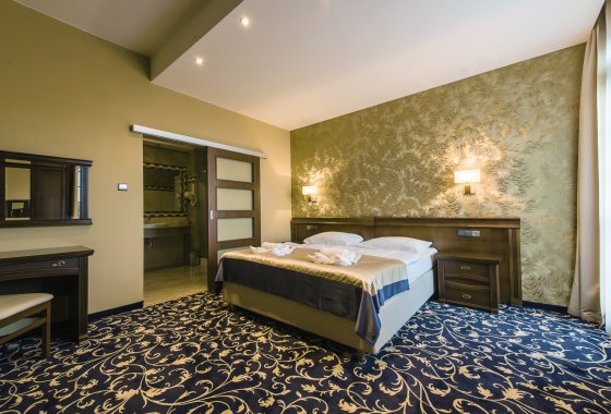 hotel *** - Hotel*** Dziki Potok Konferencje&SPA - Pokoje - zdjęcie 28