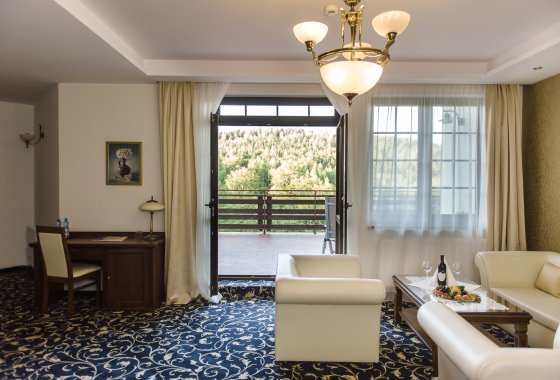 hotel *** - Hotel*** Dziki Potok Konferencje&SPA - Pokoje - zdjęcie 32