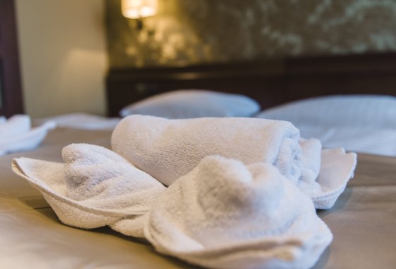 hotel *** - Hotel*** Dziki Potok Konferencje&SPA - Pokoje - zdjęcie 40