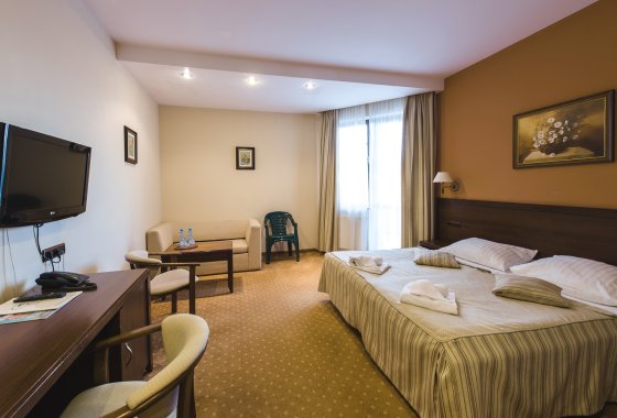 hotel *** - Hotel*** Dziki Potok Konferencje&SPA - Pokoje - zdjęcie 39