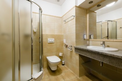 hotel *** - Hotel*** Dziki Potok Konferencje&SPA - zdjęcie 56